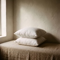 Two plump white 20x20 pillow inserts, stacked